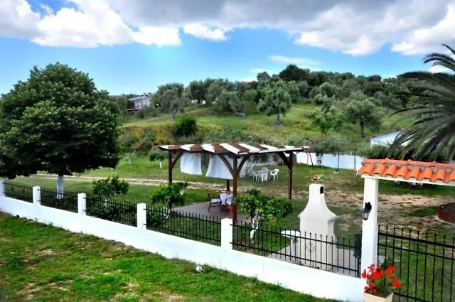 Exohi Studios Sarti